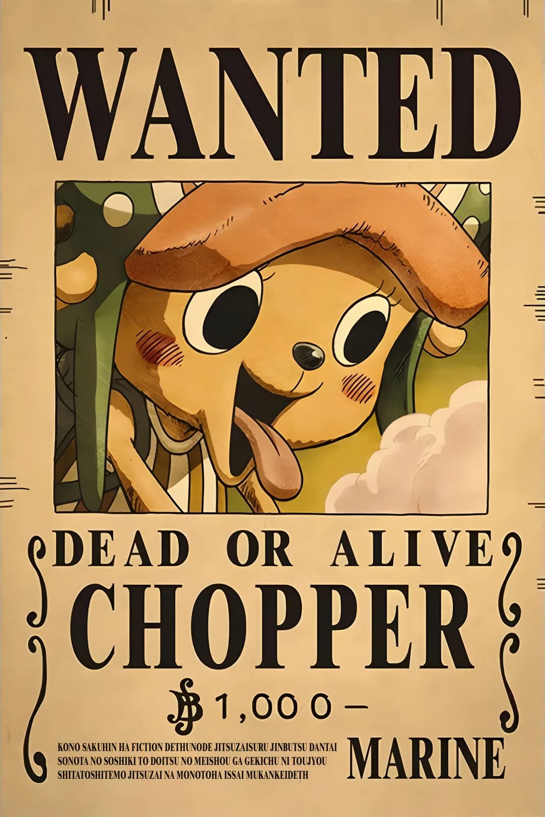 One Piece Wanted23