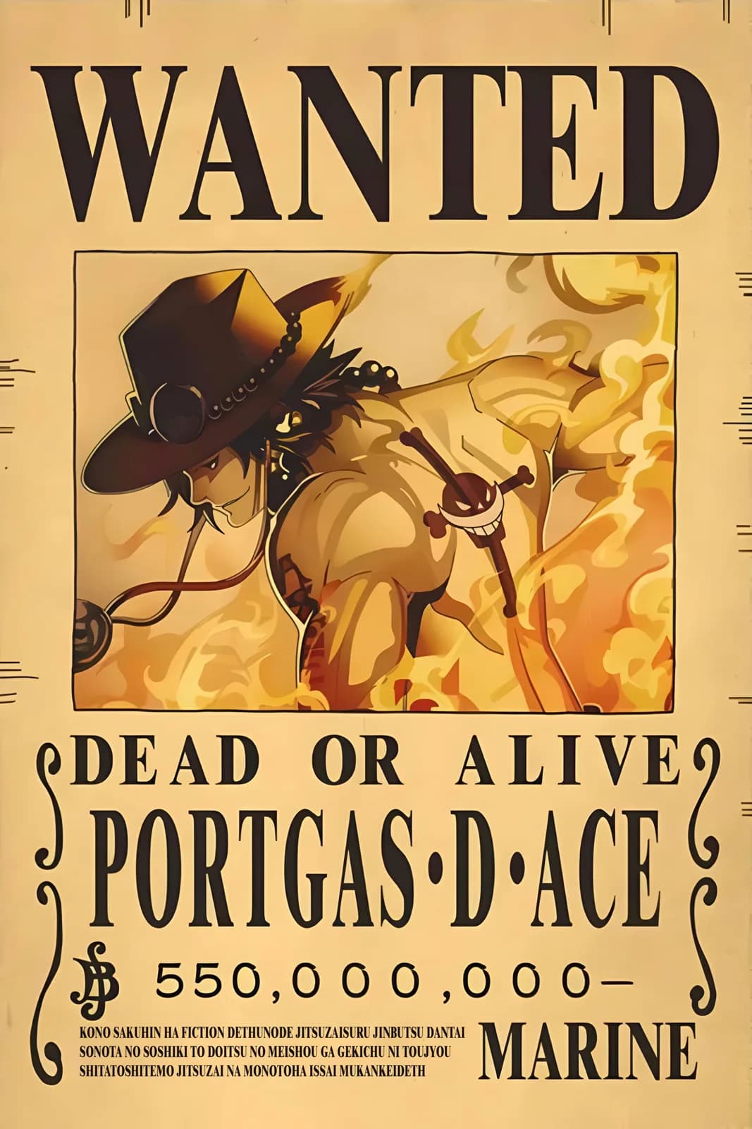 One Piece Wanted25