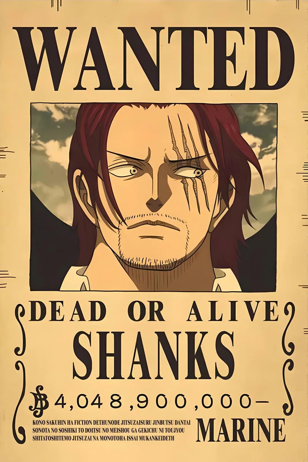 One Piece Wanted9