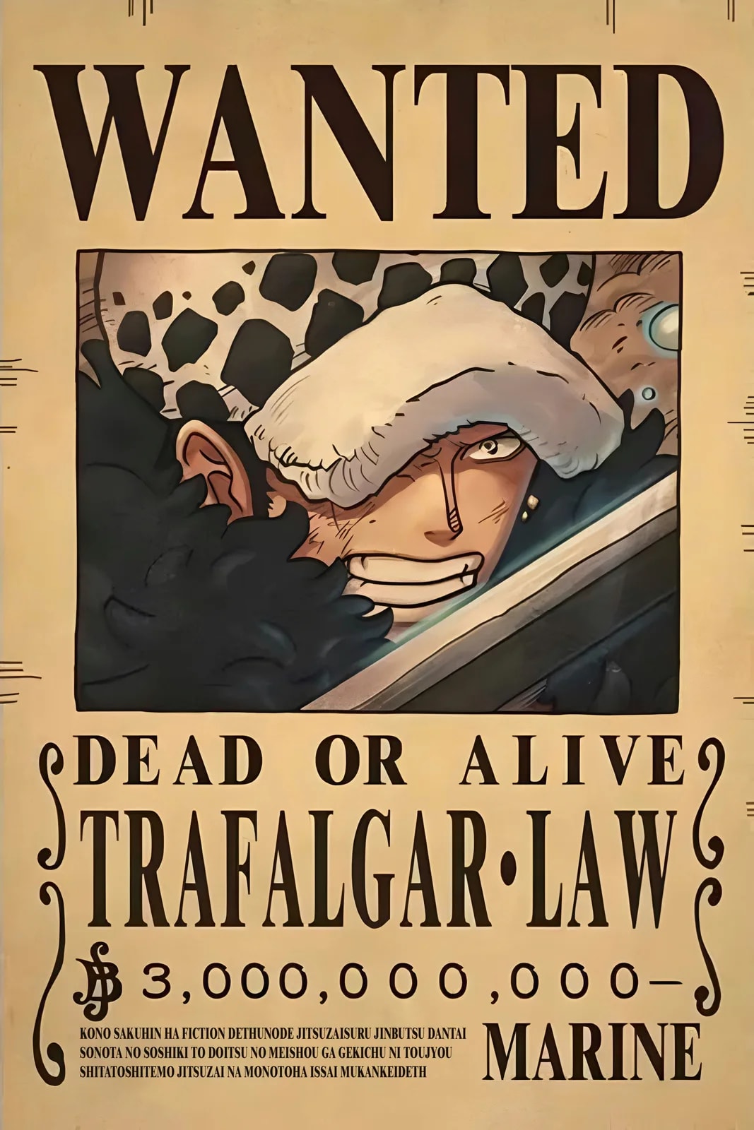 One Piece Wanted16