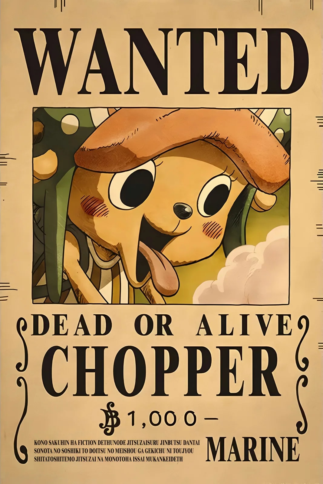 One Piece Wanted23