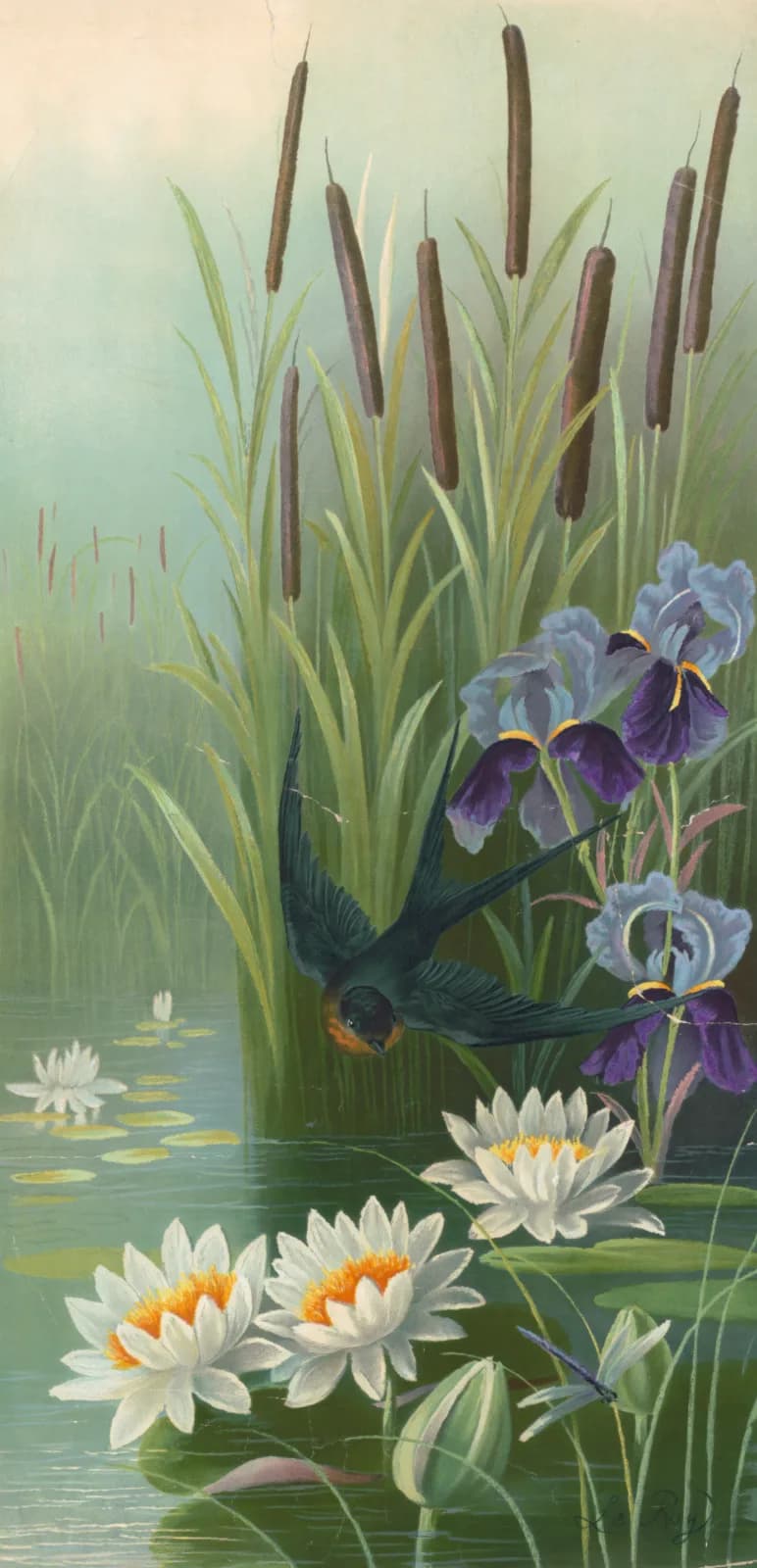 Vintage animals Bird flying over water with cat tail plants, Irises and water lilies