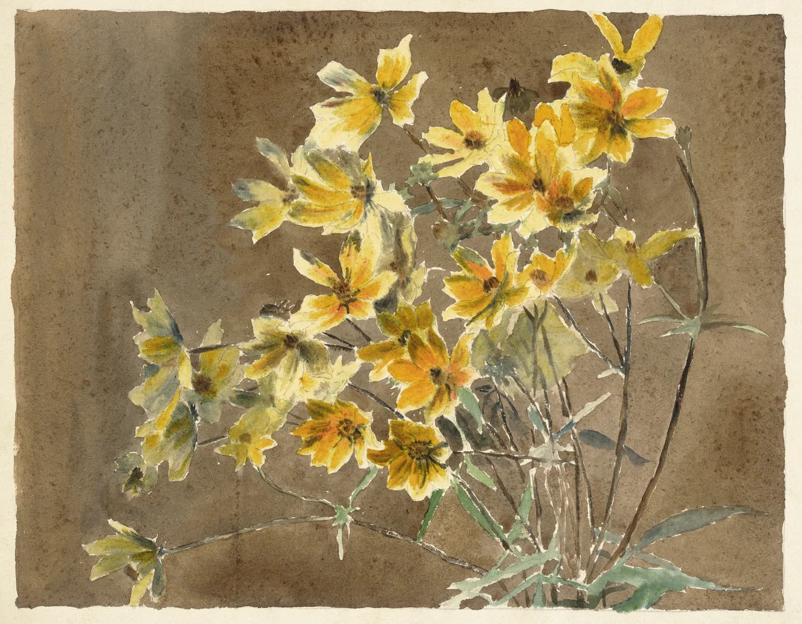 AUTUMN VINTAGE LD Yellow Flower with Border (1915) by Hannah Borger Overbeck