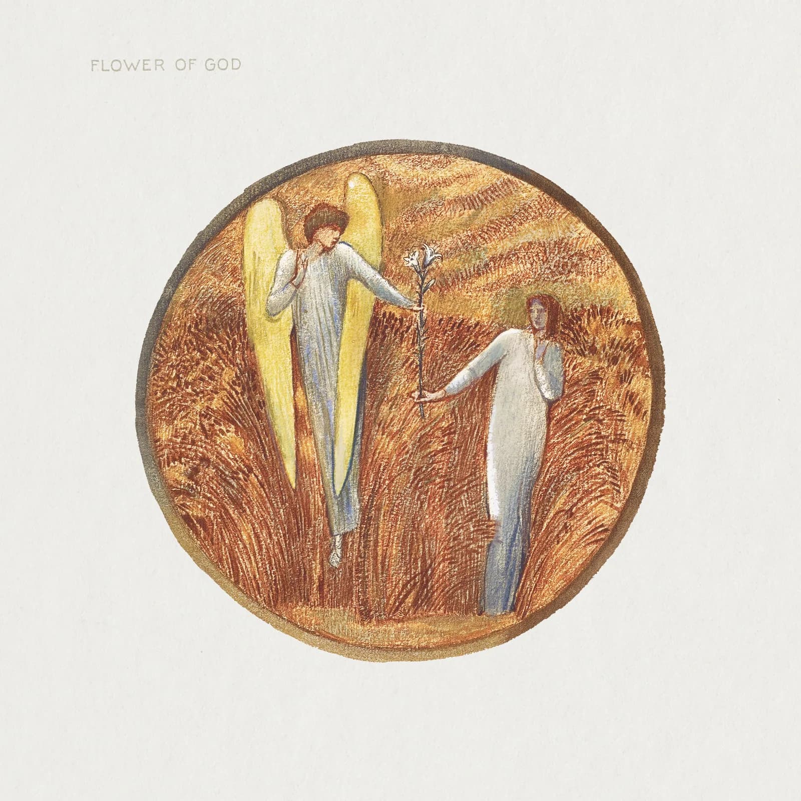AUTUMN VINTAGE LD Flower of God from The Flower Book (1905) by Sir Edward Burne Jones