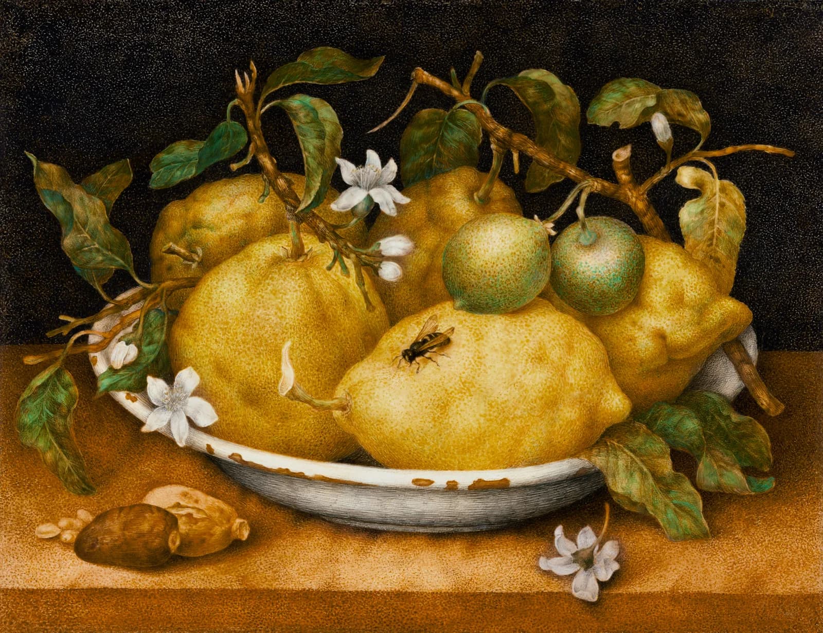 AUTUMN VINTAGE LD Still Life with Bowl of Citrons Giovanna Garzoni (1600 1670)
